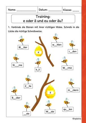 Training: e oder ä, eu oder äu?